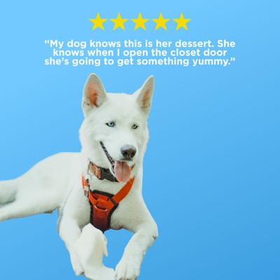 Show full view: Best Bully Sticks Natural Value Bargain Bag Dog Treats, 1-lb bag slide 6 of 7