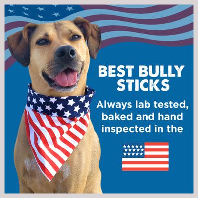 Show full view: Best Bully Sticks Odor Free 6" Bully Stick Dog Treats, 6 count slide 7 of 10