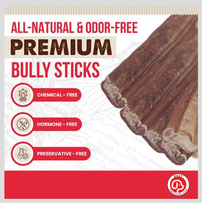 Show full view: Best Dog Chews Braided 12-in Bully Sticks Dog Treats, 3 count slide 4 of 10