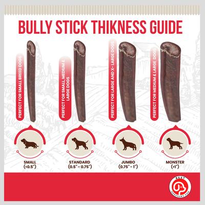 Show full view: Best Dog Chews Braided 12-in Bully Sticks Dog Treats, 3 count slide 5 of 10