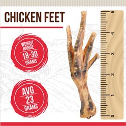 Best Dog Chews Chicken Feet Chicken Flavored Dog Chews, 12 count slide 2 of 6