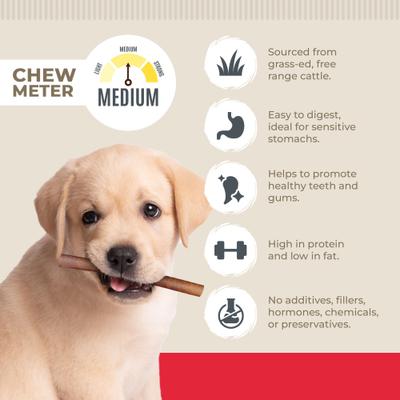 Show full view: Best Dog Chews Collagen Sticks 12-in Dog Treats, 6 count slide 4 of 5