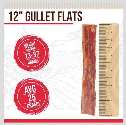 Show full view: Best Dog Chews Gullet Flats Beef Flavored 12-in Dog Chews, 12 count slide 3 of 7