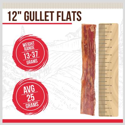 Show full view: Best Dog Chews Gullet Flats Beef Flavored 12-in Dog Chews, 6 count slide 3 of 7