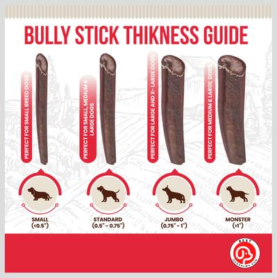 Show full view: Best Dog Chews Jumbo 6-in Bully Sticks Dog Treats, 3 count slide 5 of 10