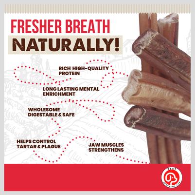 Show full view: Best Dog Chews Jumbo 6-in Bully Sticks Dog Treats, 3 count slide 8 of 10