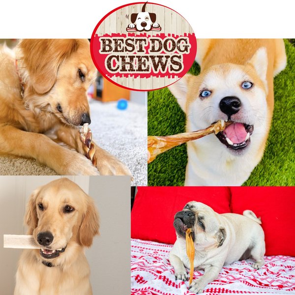 Best Dog Chews Jumbo 6-in Bully Sticks Dog Treats, 3 count