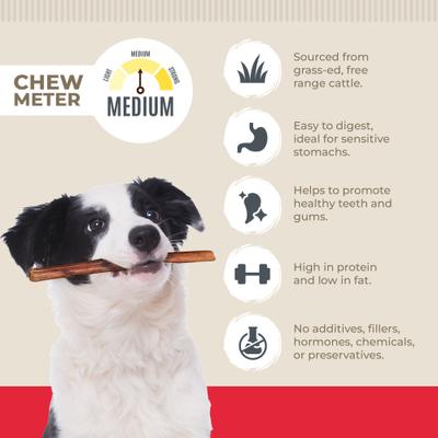 Show full view: Best Dog Chews Mega Monster Bully Sticks 12-in Dog Treats, 3 count slide 4 of 6