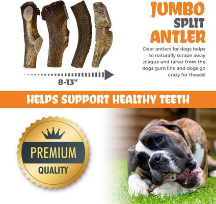 Show full view: Best Dog Chews Split Elk Antler Dog Treats, 1 count, Jumbo slide 5 of 10