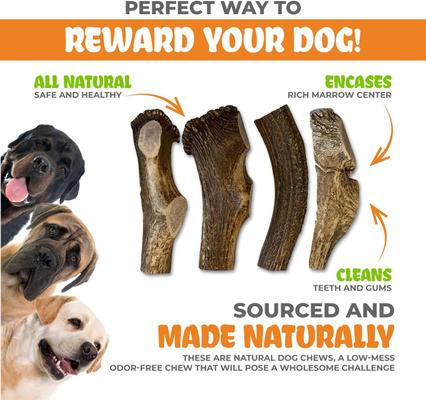 Show full view: Best Dog Chews Split Elk Antler Dog Treats, 1 count, Jumbo slide 6 of 10