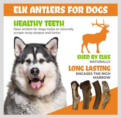Show full view: Best Dog Chews Split Elk Antler Dog Treats, 1 count, Jumbo slide 7 of 10