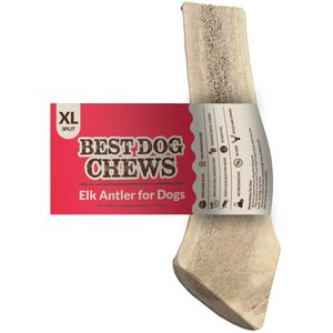 Best Dog Chews Split Elk Antler Dog Treats, 1 count, X-Large