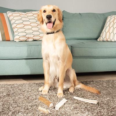 Show full view: Best Dog Chews Split Elk Antler Dog Treats, 1 count, X-Large slide 7 of 10