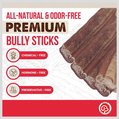 Show full view: Best Dog Chews Standard 6-in Bully Sticks Dog Treats, 6 count slide 4 of 11