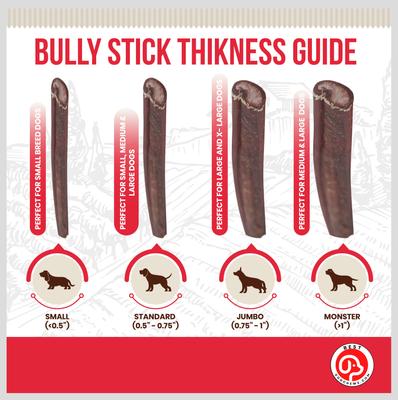Show full view: Best Dog Chews Standard 6-in Bully Sticks Dog Treats, 6 count slide 5 of 11
