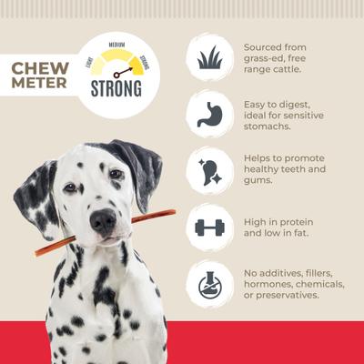 Show full view: Best Dog Chews Thin 12-in Bully Sticks Dog Treats, 25 count slide 4 of 5
