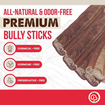 Show full view: Best Dog Chews Thin Bully Sticks 12-in Dog Treats, 6 count slide 5 of 9