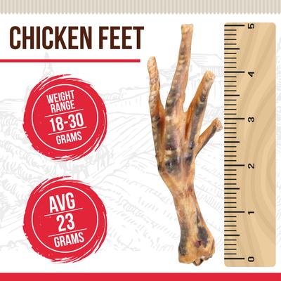 Show full view: Best Dog Chews Treats Chicken Feet Dog Treats, 6 count slide 3 of 8