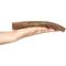 Show in main carousel: Best Dog Chews Whole Elk Antler Dog Treats, 1 count, Large slide 3 of 10