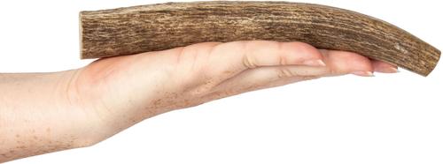 Show full view: Best Dog Chews Whole Elk Antler Dog Treats, 1 count, Large slide 3 of 10