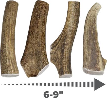 Show full view: Best Dog Chews Whole Elk Antler Dog Treats, 1 count, Large slide 4 of 10