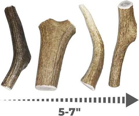 Show full view: Best Dog Chews Whole Elk Antler Dog Treats, 1 count, Medium slide 4 of 10