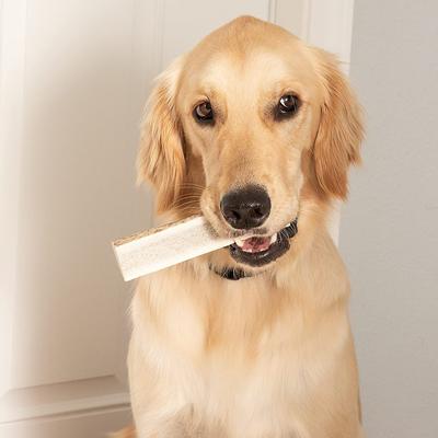 Show full view: Best Dog Chews Whole Elk Antler Dog Treats, 1 count, Medium slide 5 of 10