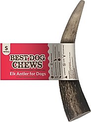 Best Dog Chews Whole Elk Antler Dog Treats, 1 count, Small