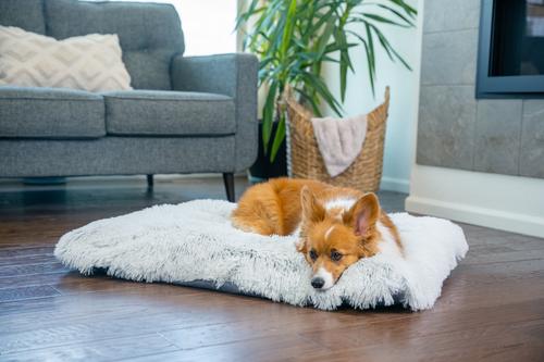 Best Friends by Sheri 4-in-1 Orthopedic Nap Mat Shag Dog Mat with Removable Cover