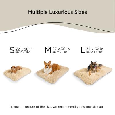 Show full view: Best Friends by Sheri 4-in-1 Orthopedic Nap Mat Shag Dog Mat with Removable Cover, Taupe, Medium slide 5 of 8