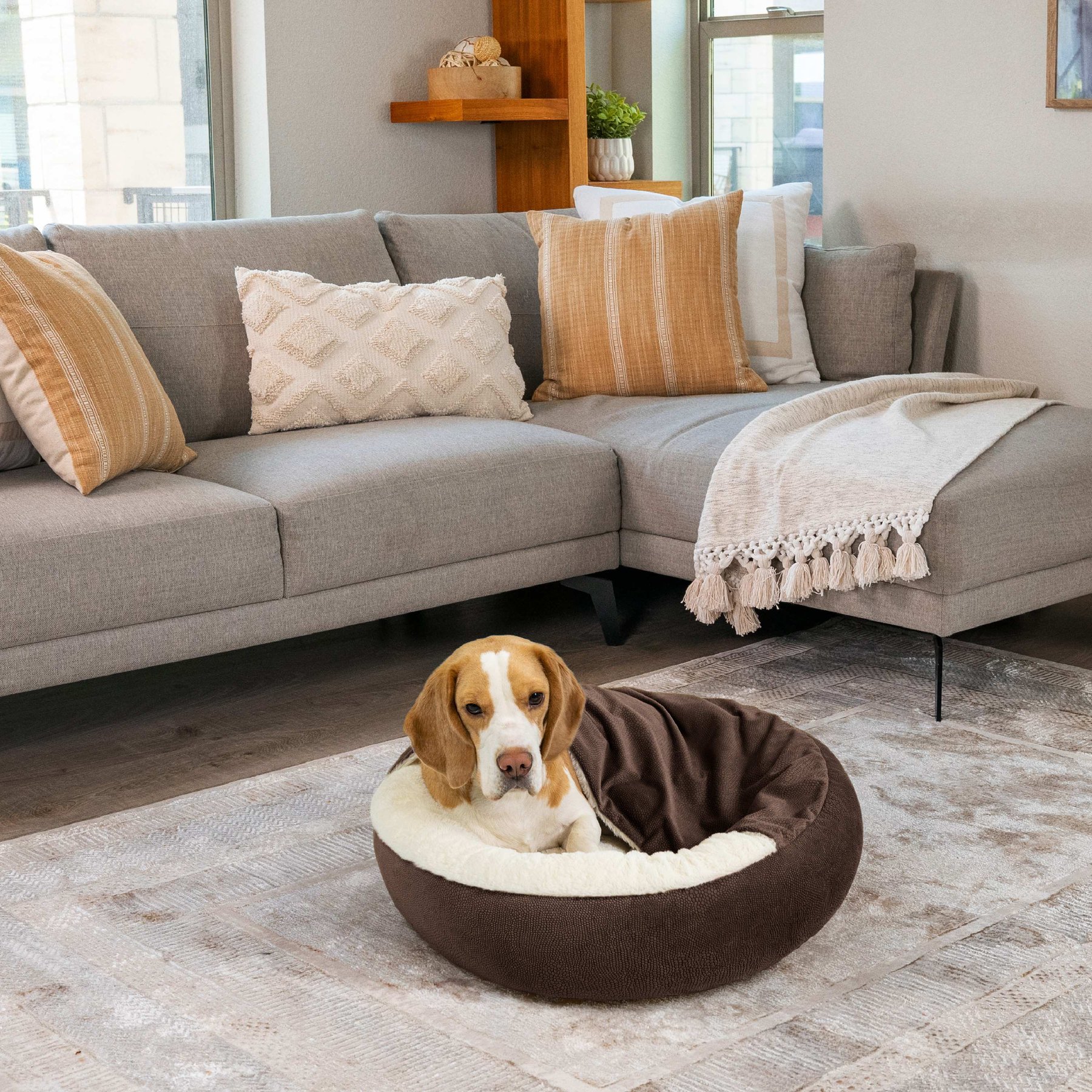 Best Friends by Sheri Cozy Cuddler Covered Cat & Dog Bed