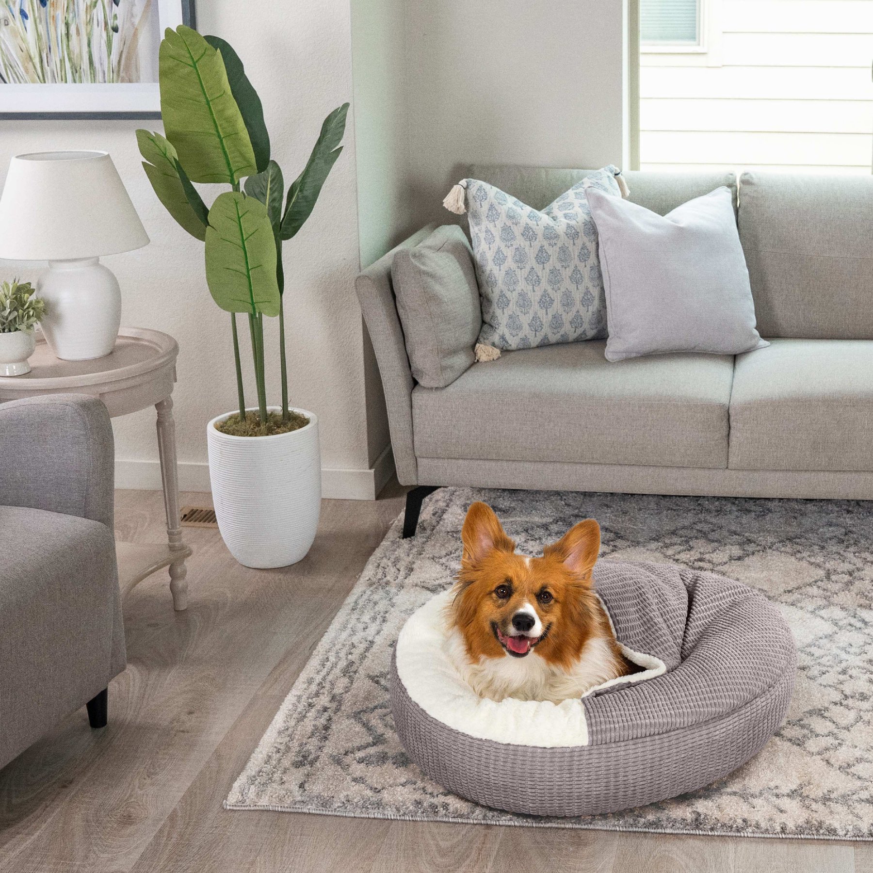 microfiber dog bed