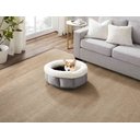 Best Friends by Sheri Cuddle Cup Cuddler Bolster Cat & Dog Bed, Grey, Jumbo