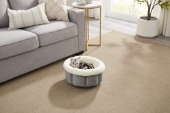 Best Friends by Sheri Cuddle Cup Cuddler Bolster Cat & Dog Bed, Grey, Standard