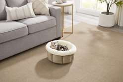 Best Friends by Sheri Cuddle Cup Cuddler Bolster Cat & Dog Bed, Wheat, Standard