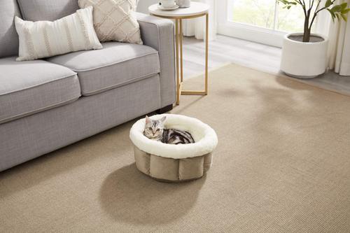 Best Friends by Sheri Cuddle Cup Cuddler Bolster Cat & Dog Bed