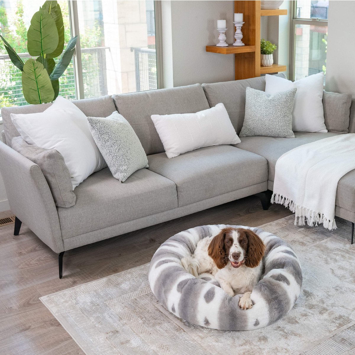 Best Friends by Sheri Patterned Faux Fur Calming Orthopedic Bolster Dog Bed, Large