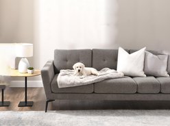 Best Friends by Sheri SnuggleSoft Reversible Calming Faux Fur Orthopedic Cat & Dog Blanket, Brown