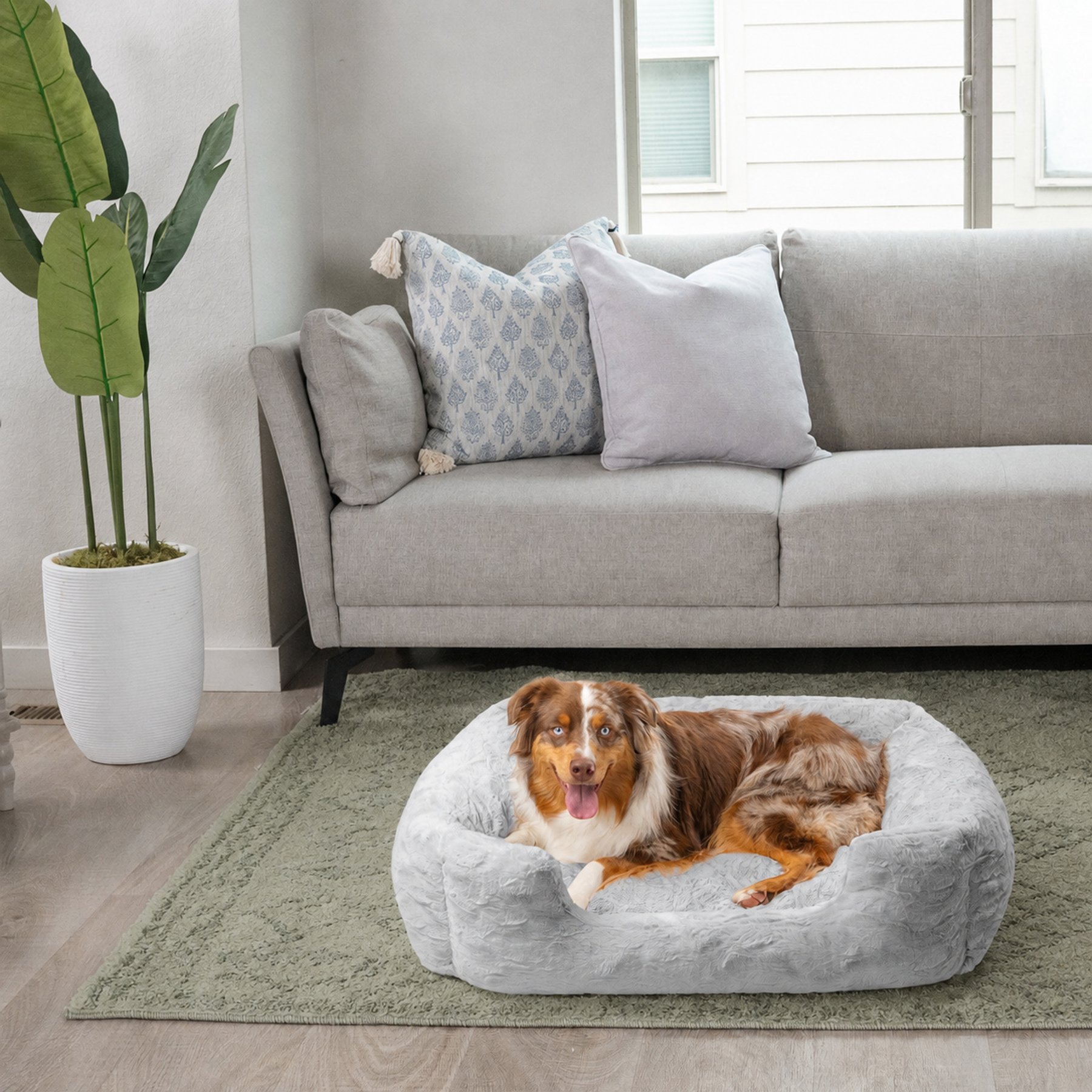 Best Friends by Sheri Soothe & Snooze Lounge Lux Memory Foam Rectangular Orthopedic Bolster Dog Bed, Grey, Large