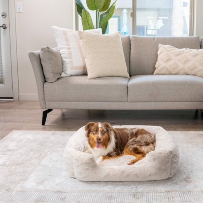 Best Friends by Sheri Best Friends by Sheri Soothe & Snooze Lounge Lux Memory Foam Rectangular Orthopedic Bolster Dog Bed, Oyster, Large