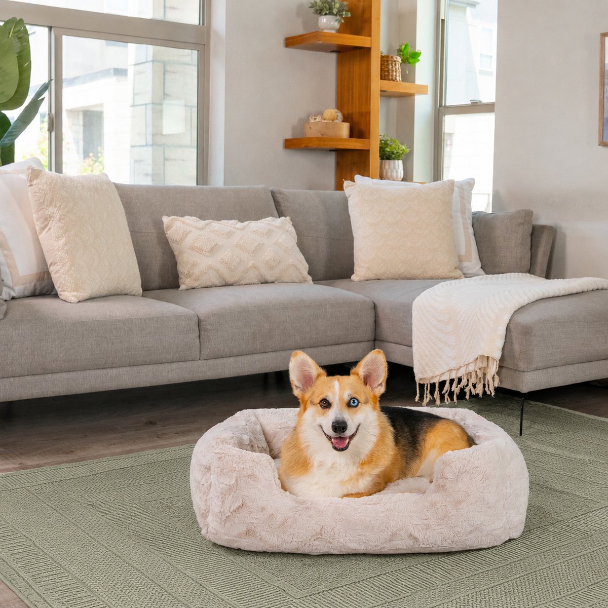 Best Friends by Sheri Soothe & Snooze Lounge Lux Memory Foam Rectangular Orthopedic Bolster Dog Bed, Oyster, Medium