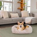 Best Friends by Sheri Soothe & Snooze Lounge Lux Memory Foam Rectangular Orthopedic Bolster Dog Bed, Oyster, Medium