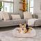 Show in main carousel: Best Friends by Sheri Soothe & Snooze Lounge Lux Memory Foam Rectangular Orthopedic Bolster Dog Bed, Oyster, Medium slide 1 of 9