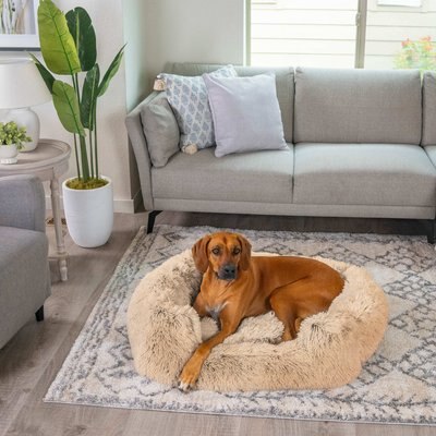 Best Friends by Sheri Best Friends by Sheri Soothe & Snooze Lounge Shag Rectangular Orthopedic Bolster Dog Bed, Taupe, Large