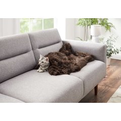 Best Friends by Sheri Throw Shag Dog & Cat Blanket, Dark Chocolate, Standard