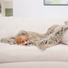 Best Friends by Sheri Throw Shag Dog & Cat Blanket, Taupe, Standard