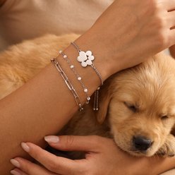 Best FURever Friends Stainless Steel Paw Print Trio Bracelet, Silver slide 2 of 3