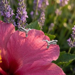 Best FURever Friends Sterling Silver Mini Hummingbird Stud Earrings, Silver slide 2 of 3