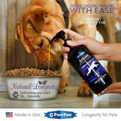 Show full view: Best Paw Nutrition Premium Dream Glucosamine Joint Support Dog & Cat Liquid Supplement, Bacon Flavor, 16-fl oz slide 4 of 8