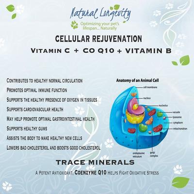 Show full view: Best Paw Nutrition Premium Dream Glucosamine Joint Support Dog & Cat Liquid Supplement, Bacon Flavor, 16-fl oz slide 7 of 8